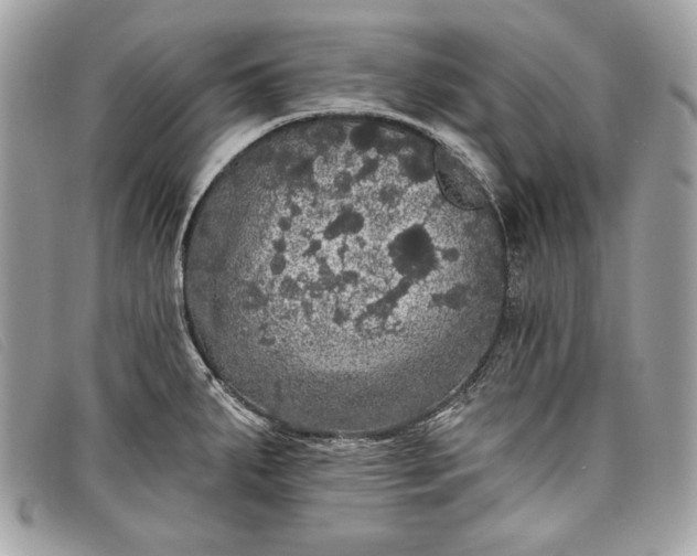 X0000098011287200804111224