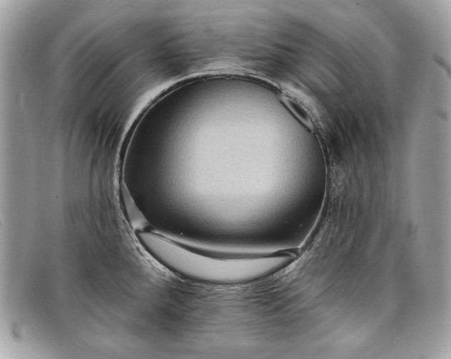 X0000098011288200804111224