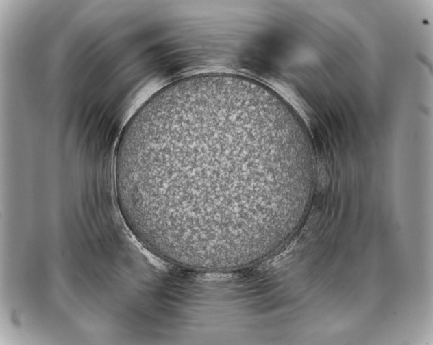 X0000098011290200804111224