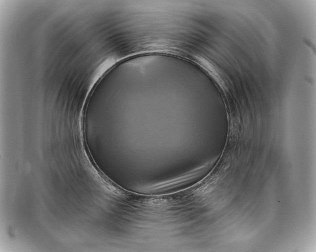 X0000098011291200804111224