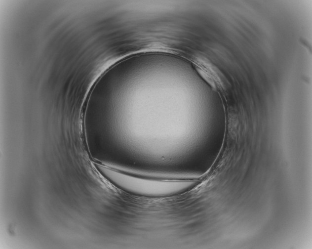 X0000098011292200804111224