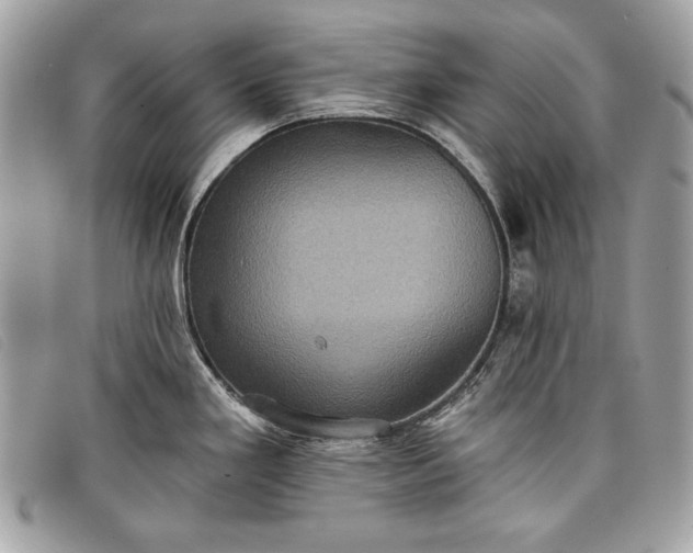 X0000098011293200804111224