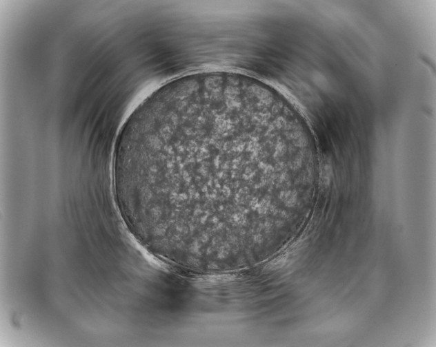 X0000098011294200804111224