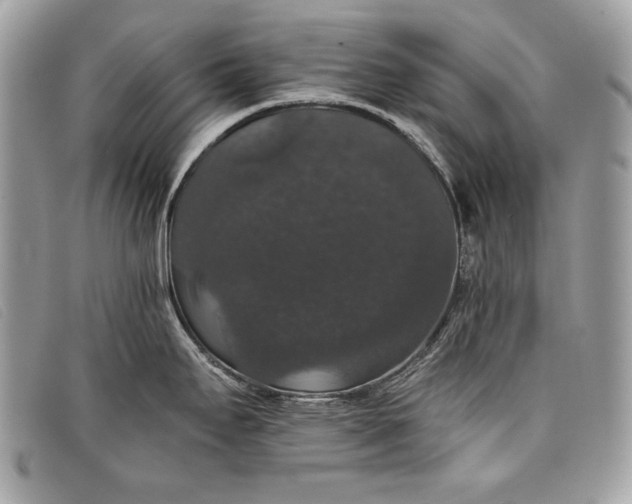 X0000098011295200804111224