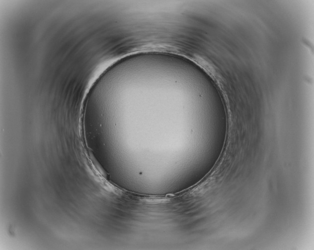 X0000098011296200804111224