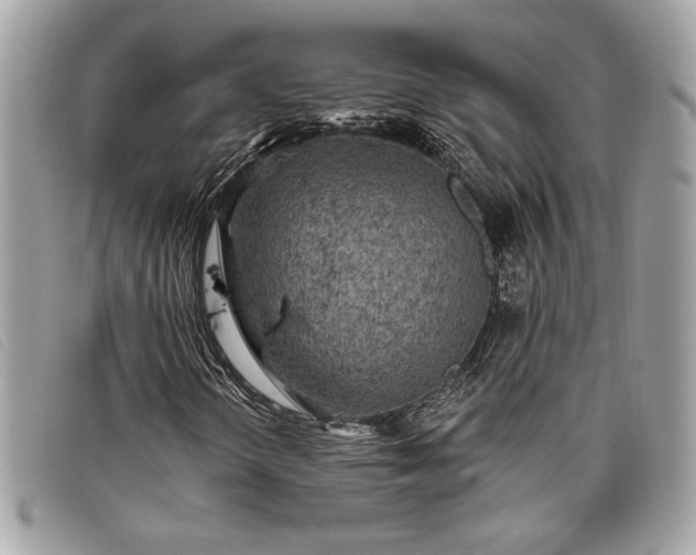 X0000098011298200804111223