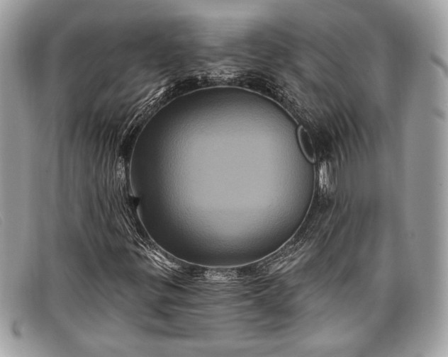 X0000098011299200804111223