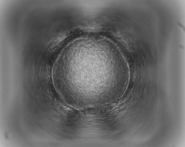 X0000098011301200804111223