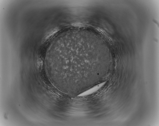 X0000098011302200804111223