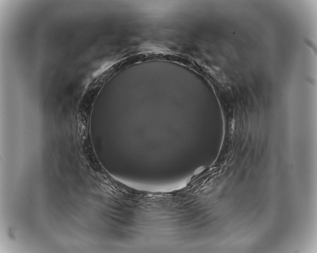 X0000098011303200804111223