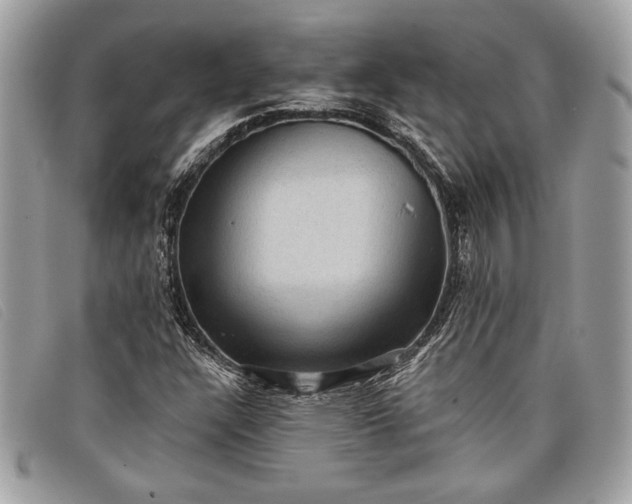 X0000098011304200804111223