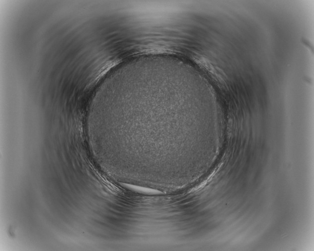 X0000098011305200804111223