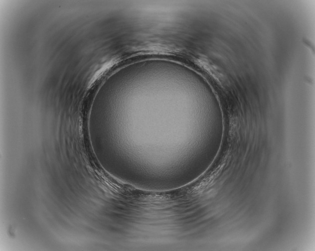 X0000098011307200804111223