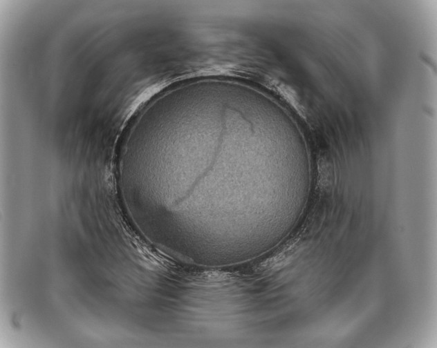 X0000098011308200804111223