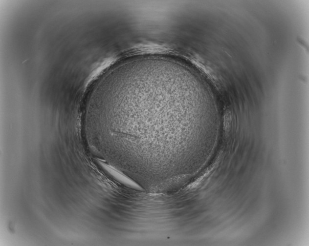 X0000098011309200804111223