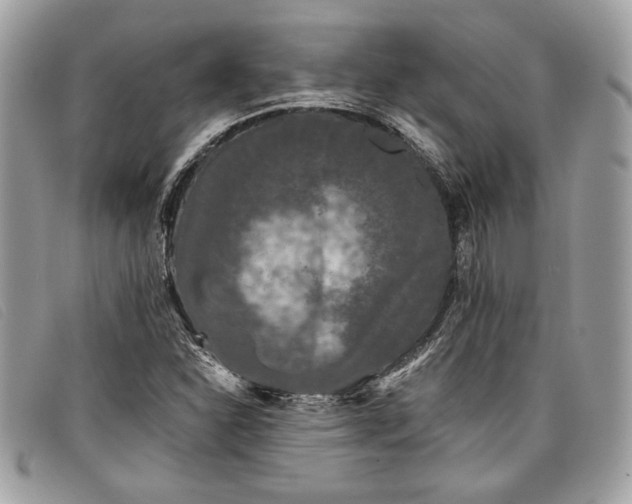 X0000098011310200804111223