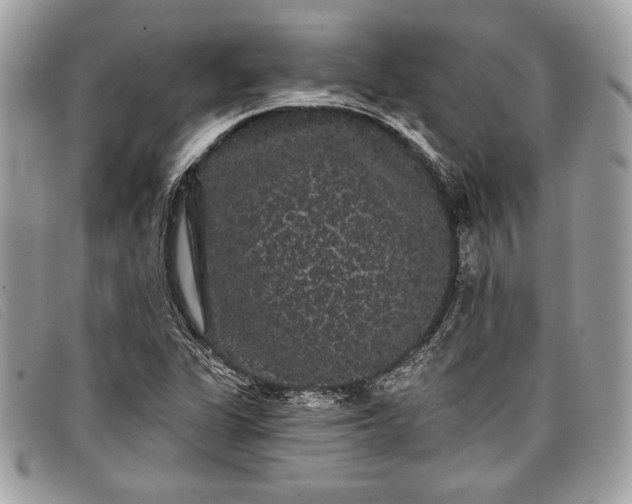 X0000098011311200804111223