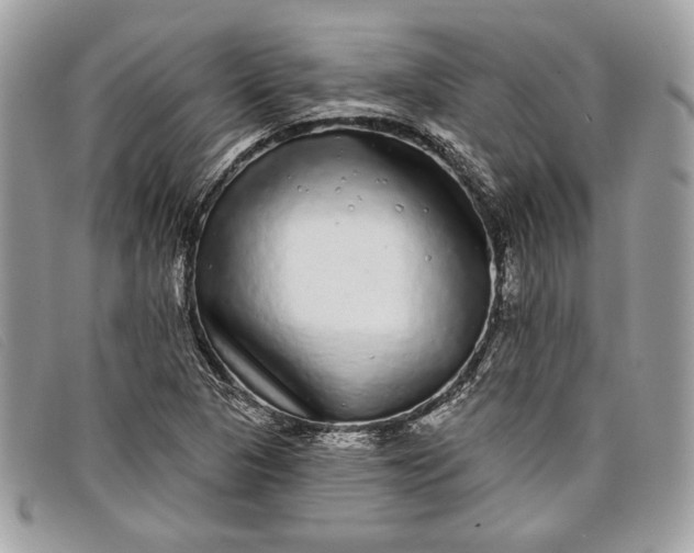 X0000098011313200804111223