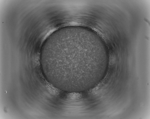 X0000098011314200804111223