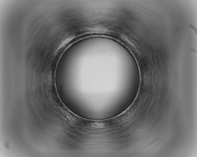 X0000098011315200804111223