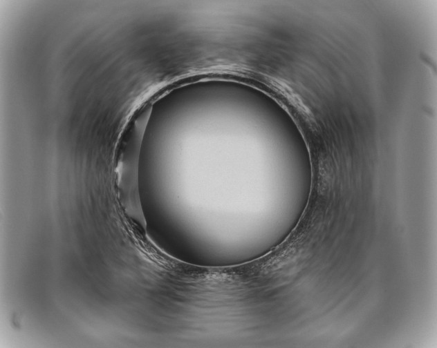 X0000098011316200804111223