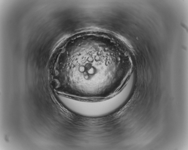 X0000098011318200804111223