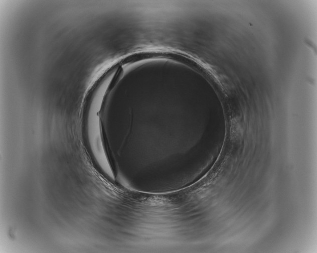 X0000098011319200804111223