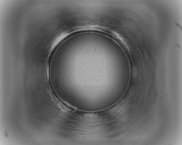 X0000098011320200804111223