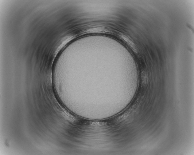 X0000098011322200804111223