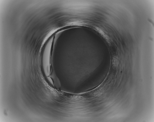 X0000098011323200804111223