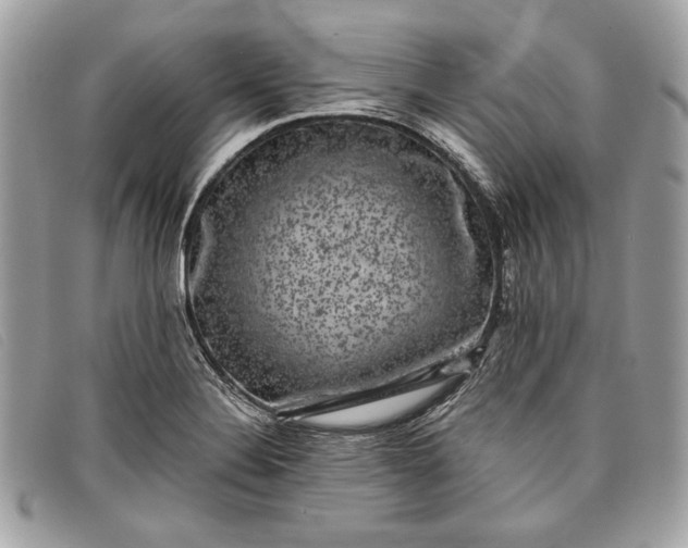 X0000098011324200804111223