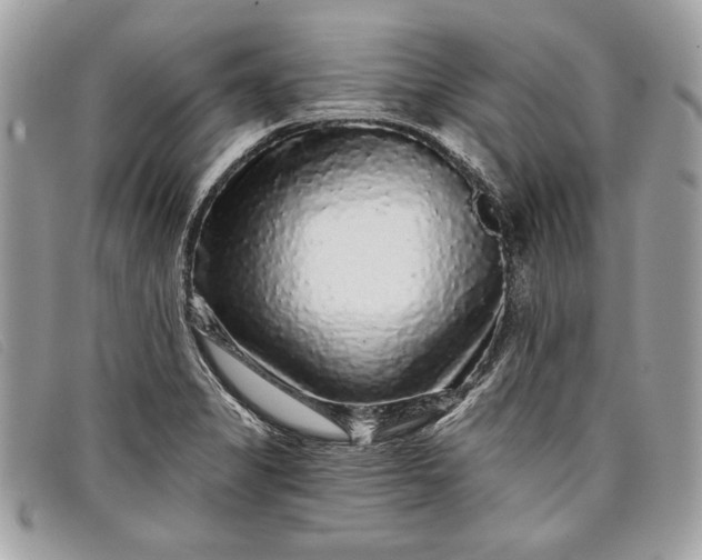 X0000098011325200804111223