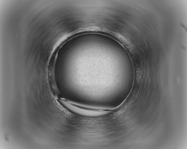 X0000098011326200804111223