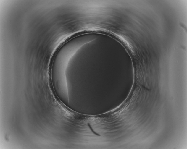 X0000098011327200804111223