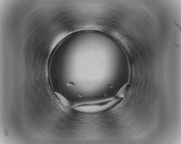 X0000098011328200804111223