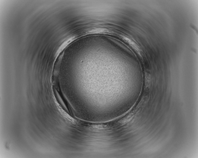 X0000098011330200804111223