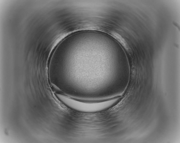 X0000098011332200804111223