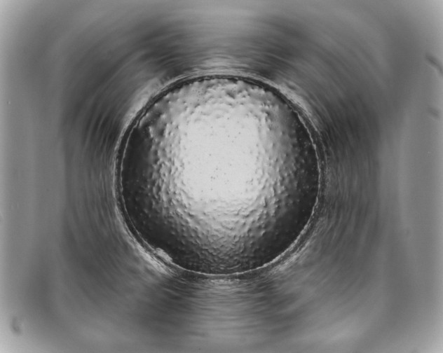 X0000098011333200804111223