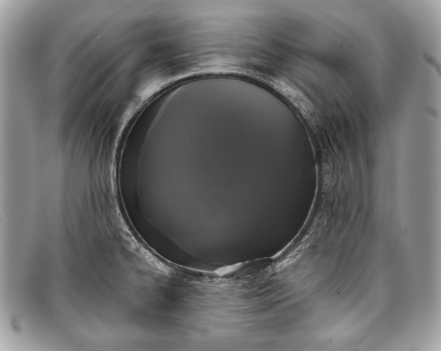 X0000098011334200804111224