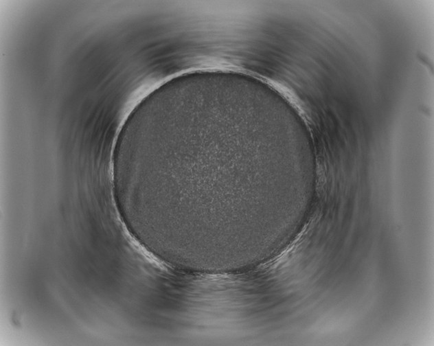 X0000098011335200804111224