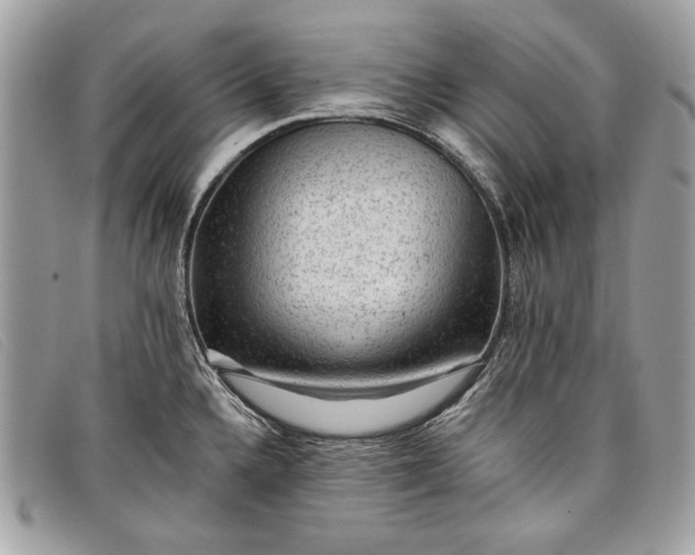 X0000098011336200804111224