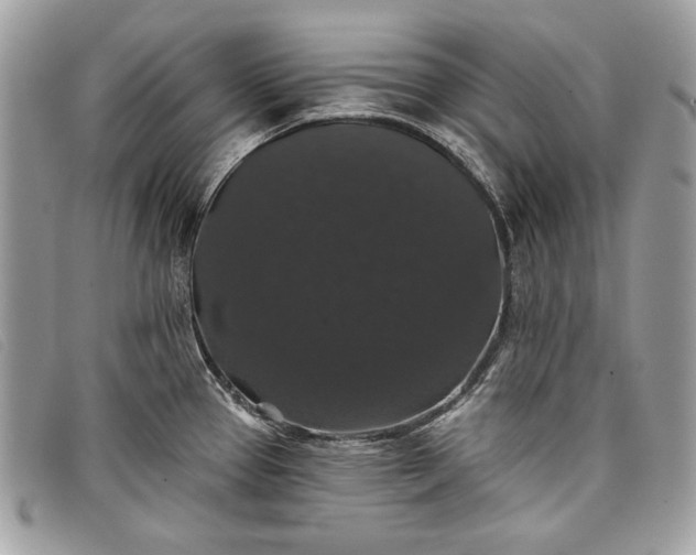 X0000098011337200804111224