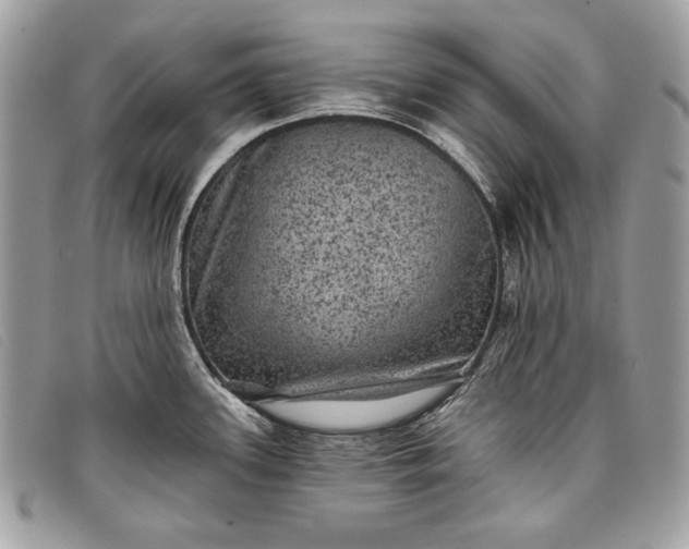 X0000098011339200804111224