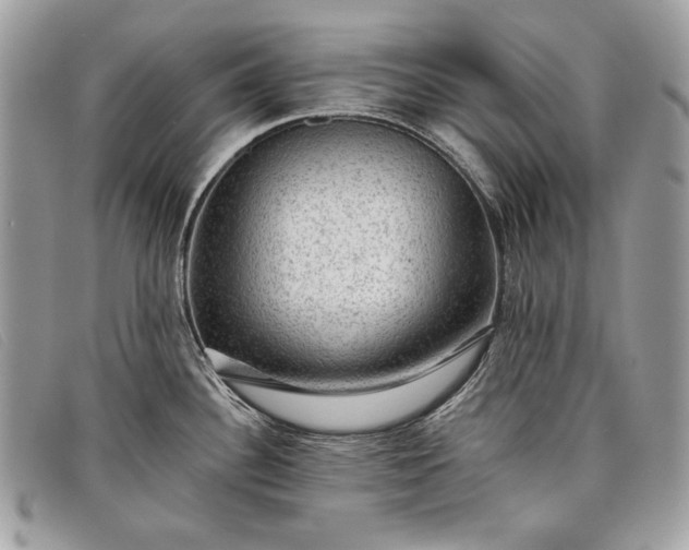 X0000098011340200804111224