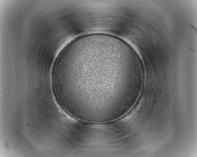 X0000098011341200804111224