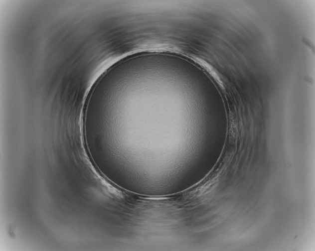 X0000098011343200804111224