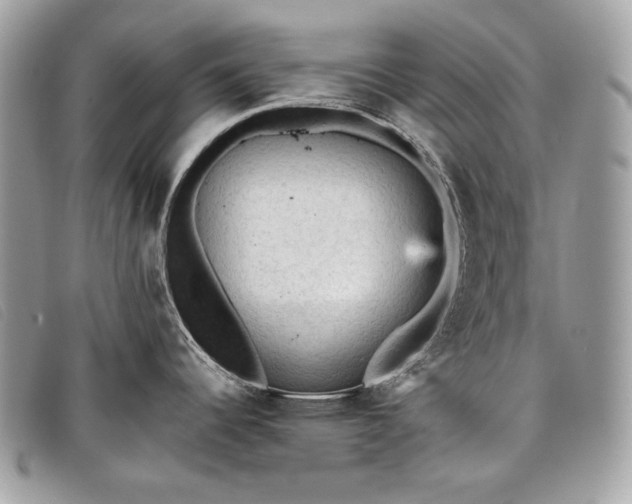 X0000098011344200804111224