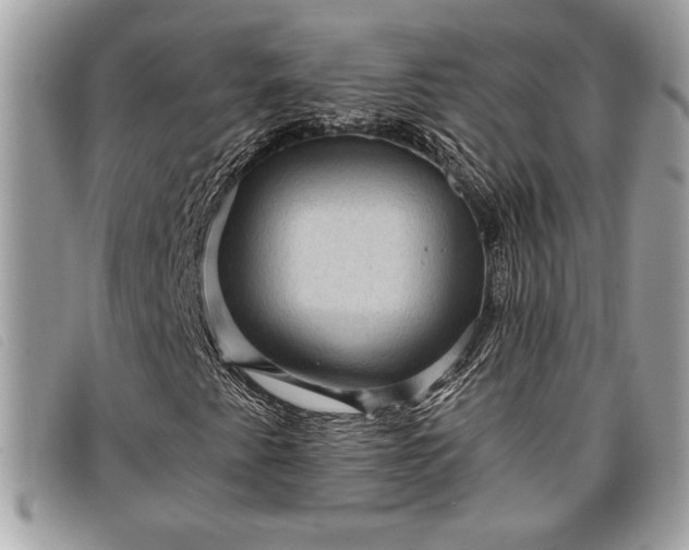 X0000098011345200804111223