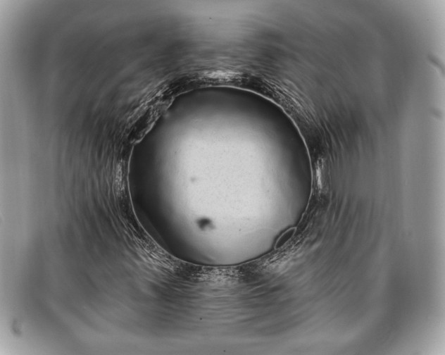 X0000098011347200804111223