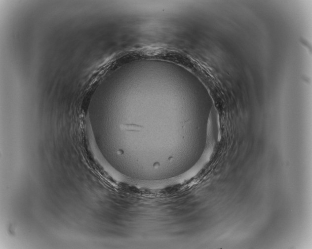 X0000098011349200804111223